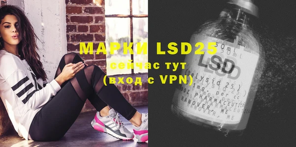 ECSTASY Щёлкино